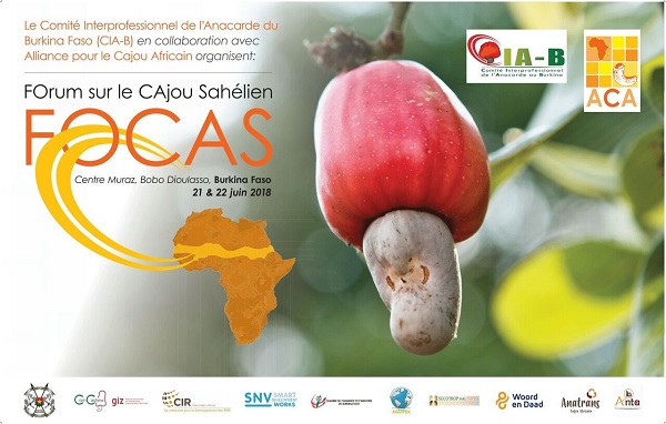 Forum du cajou sahélien FOCAS, le jeudi 21 juin et le vendredi  22 juin 2018 à Bobo-Dioulasso à partir de 08H au Centre Muraz