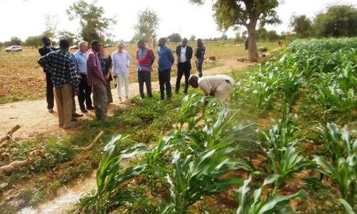 Coopération : Des parlementaires suisses visitent des réalisations de l’ONG Burkina Vert au Yatenga