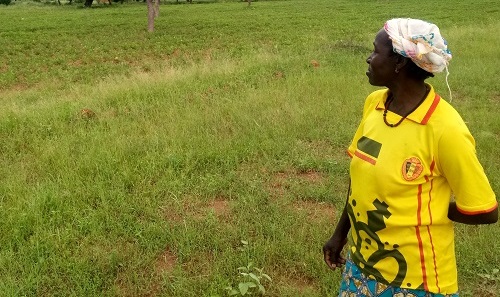 Agriculture : ces femmes qui ont leurs propres champs  
