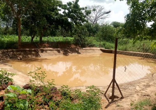 Bassin de collecte des eaux de ruissellement : Une solution aux poches de sécheresse