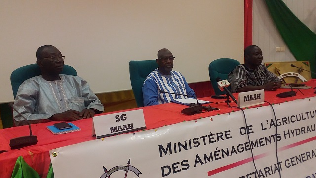 Filière anacarde au Burkina : Vers l’adoption d’une stratégie nationale pour le développement de la filière