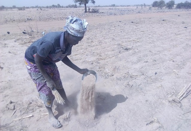 8-Mars : A la rencontre des ramasseuses de sable de Yagma