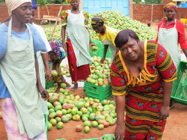 Christiane Coulibaly : La reine de la mangue séchée