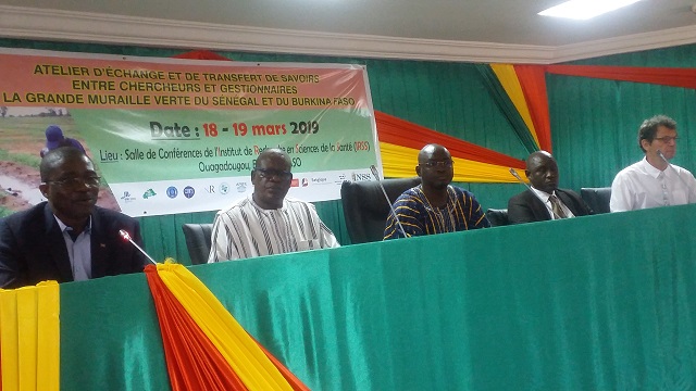Grande muraille verte : Chercheurs et gestionnaires du Sénégal et du Burkina Faso en réflexion à Ouagadougou