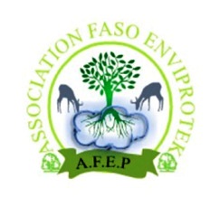 Déclassement de la forêt de Kua : L’Association Faso EnviProtek/AFEP s’indigne et condamne