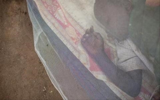 Journée mondiale de lutte contre le paludisme 2019 : « Zéro palu ! Je m’engage 