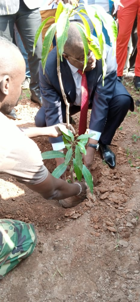 Mois de l’arbre :  Les élèves de l’école Nationale des régies financières reboisent 