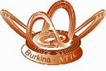 Burkina Ntic