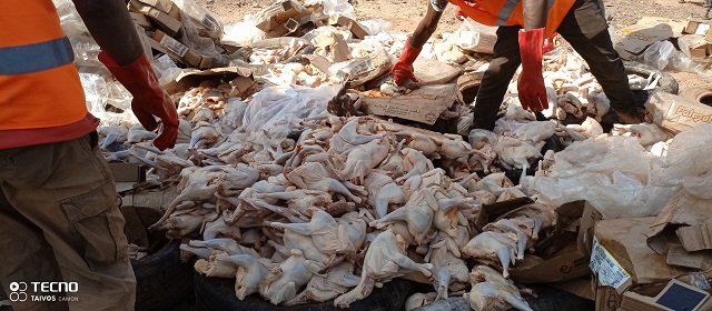 Ouagadougou : Une demi-tonne de poulets avariés incinérée