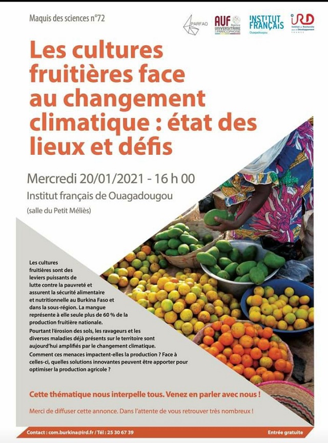 Cultures fruitières face au changement climatique au Burkina : « Si dans dix ans rien n’est fait, on court vers la catastrophe », avertit  Dr Souleymane Nacro