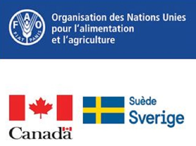 Initiative « Produire 1 million de tonnes de riz paddy d’ici à 2021 » : Le Canada et la Suède s’unissent à la FAO pour accompagner le Burkina
