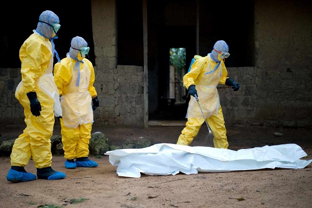 Découverte du virus Marburg en Guinée : Une interrogation qui vient s’ajouter à la pandémie du COVID-19