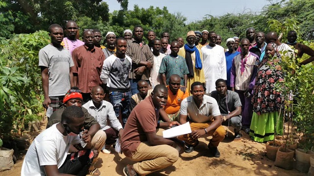 Apiculture au Burkina : Quarante acteurs formés en arboriculture et en techniques de reforestation 