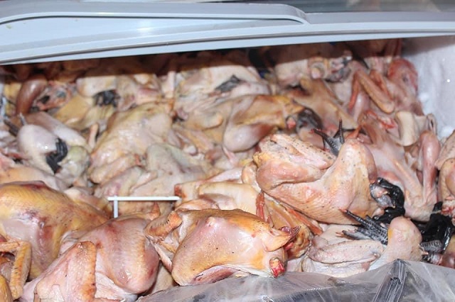 Grippe aviaire au Burkina : 42 foyers confirmés dans sept régions