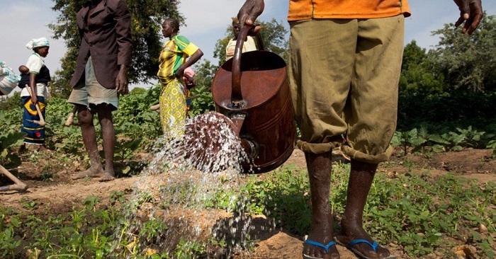 Afrique : Les États coupent dans les dépenses en agriculture en pleine crise de la faim