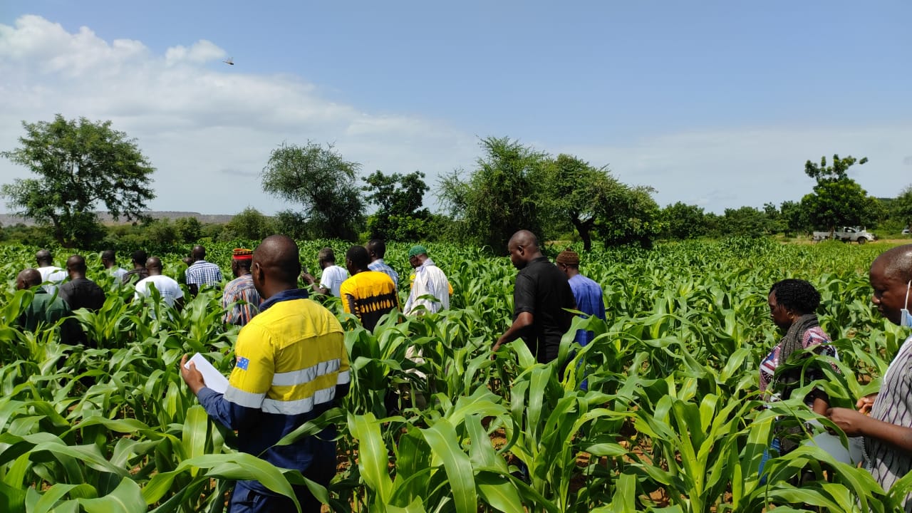 Productions agricoles au Burkina : La SOMISA sème l’espoir dans le Ganzourgou