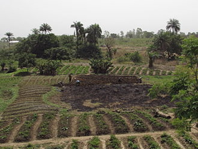 Bénin : Les autorités érigent une juridiction contre la « mafia foncière »