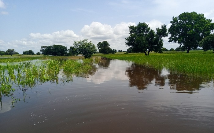 Boucle du Mouhoun : Inondations enregistrées en 2022, une catastrophe agro-pastorale jamais égalée 