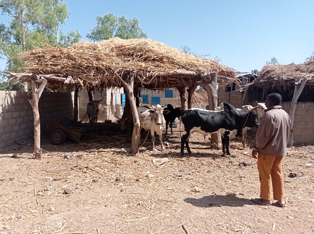 Centre-sud du Burkina : Grâce à l’accompagnement du PAFPA Dual, Aboubacar Maré réussit à sécuriser son site de production