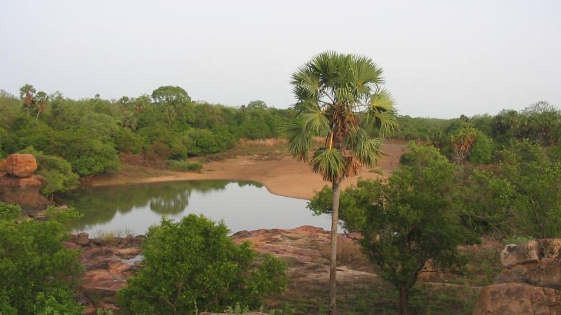 Bénin – Burkina Faso : Le sacrifice des espaces protégés au profit des ressources minières