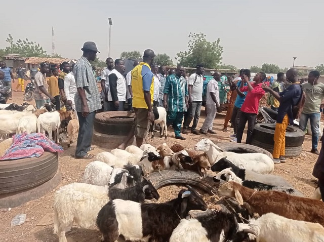 Marché à bétail de Lanoag-Yiri : La commune de Ouagadougou s’enquiert des conditions de travail des commerçants