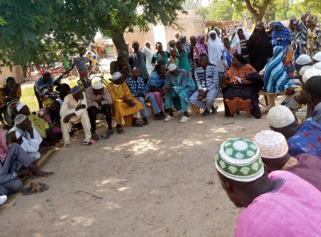 De la capacité d’influence des acteurs communautaires dans la gestion des districts sanitaires au Burkina Faso 