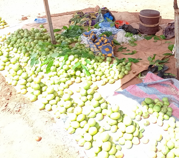 Ouagadougou : La période des fruits de saison d’hivernage s’est installée