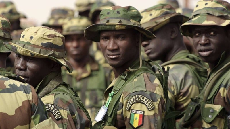 Niger : Le Sénégal enverra ses soldats si la CEDEAO décide d’une intervention militaire