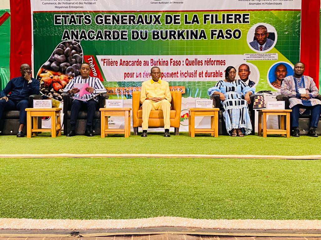 Burkina/ Filière anacarde : Des états généraux pour un développement inclusif et durable