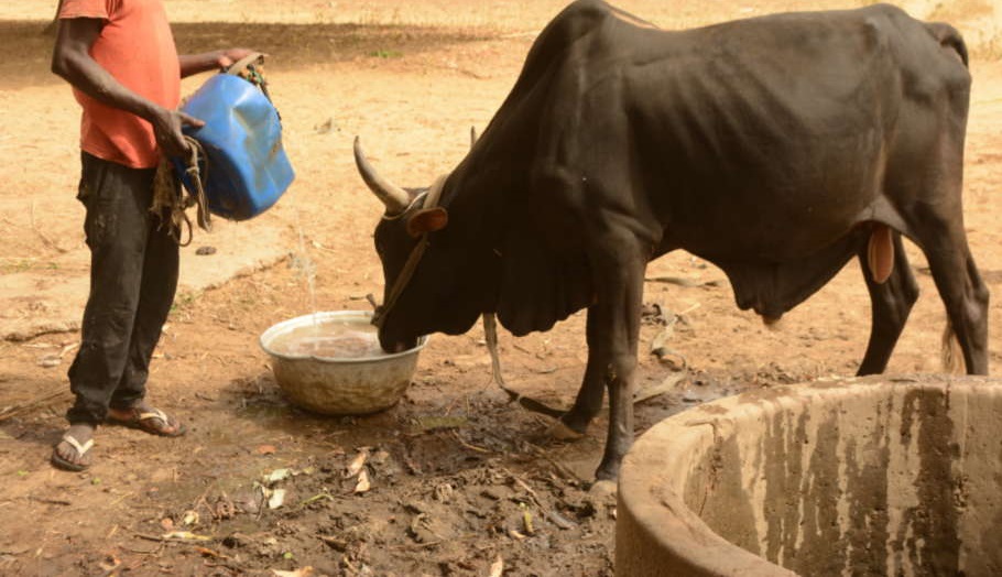 Accès à l’eau dans les zones pastorales sous l’effet de la variabilité climatique et de la pression foncière