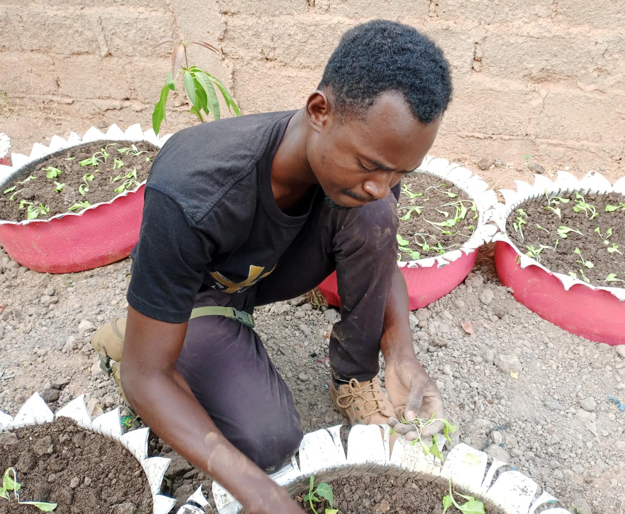 Entrepreneuriat agricole : Amos Ouédraogo, le jeune arboriculteur, s’est spécialisé dans l’aménagement des jardins potagers