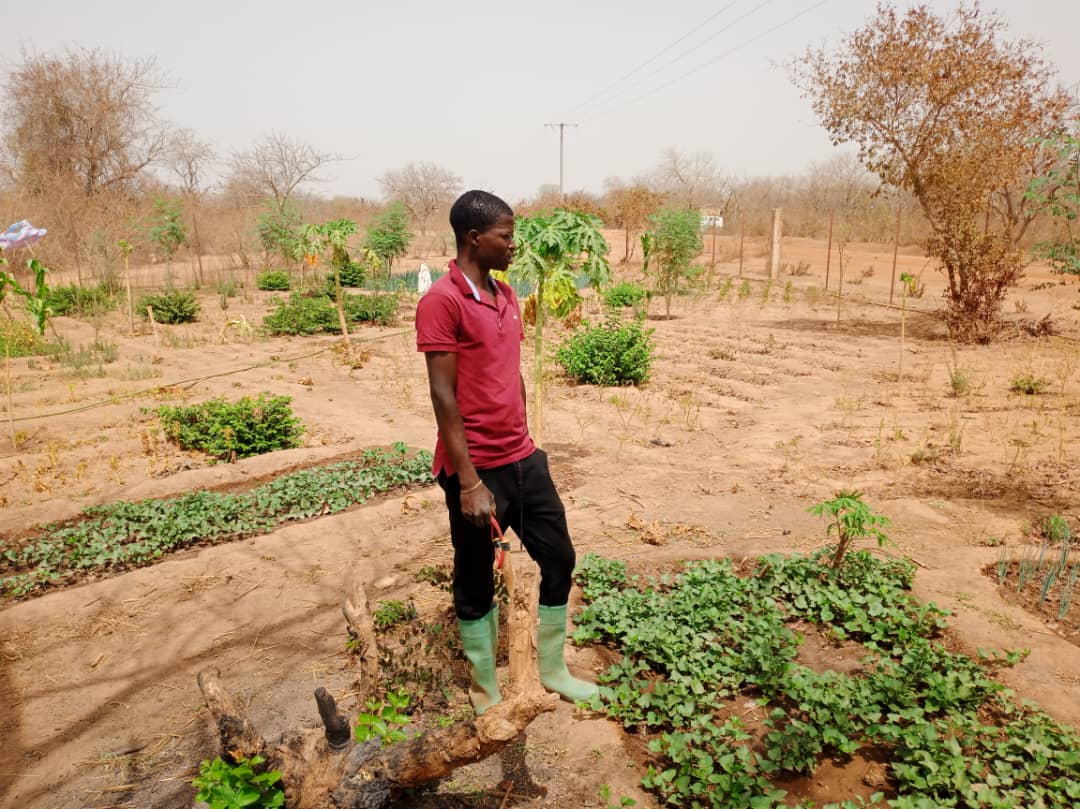 Burkina / Agriculture : Hervé Ouédraogo a fait de son lopin de terre son bureau 