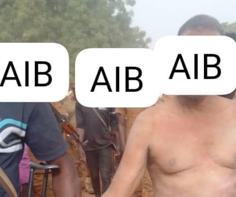Burkina/Insécurité : Un chef terroriste neutralisé  à Balavé, dans les Banwa (AIB)