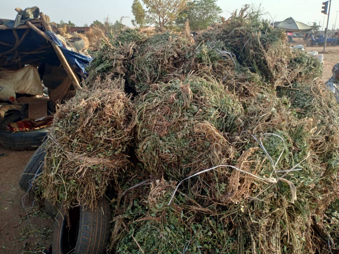 Ouagadougou / Vente de fourrage : Une activité qui « prend l’herbe », selon Charles Nikiema et ses collègues 