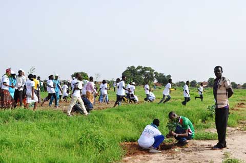 Journée internationale de la jeunesse : 3000 plants mis sous terre pour un développement durable