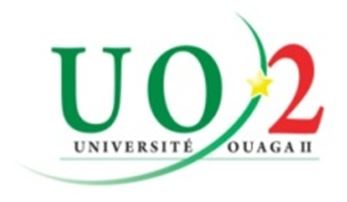 UO2 : Appel  à  candidatures   Pour le recrutement d’étudiants de la 1ère  promotion  de  Master Professionnel en Ingénierie Statistique de l’Environnement ET de la 1ère  promotion  de Master Professionnel en Finance Quantitative et Gestion de Risques Financiers