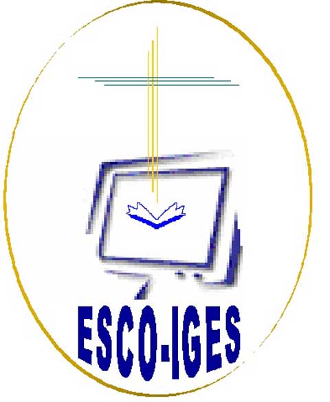 ESCO-IGES : Début des inscriptions pour le Master