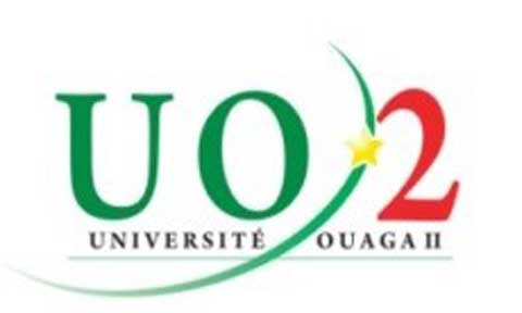 Master 2 « Management de Projets » : Master international de l’Université Senghor (Egypte) et de l’Université Ouaga II (Burkina Faso)