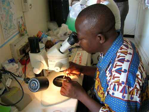 Vaccin contre le paludisme, vaccin à efficacité partielle : quelles implications pour les populations ?