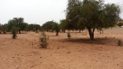 Niger : des soldats nigériens et américains tués à la frontière du Mali
