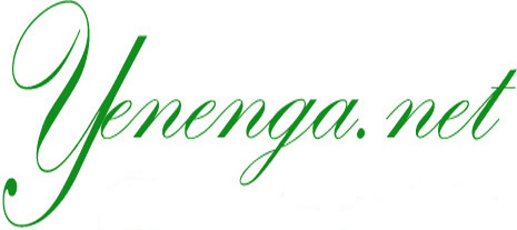 Yenenga.net, le site de la femme et de l’enfant