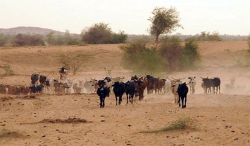 L’analyse multicritères, un outil de décision pour la matérialisation des pistes d’accès aux ressources pastorales de saison pluvieuse dans le Sahel burkinabè 