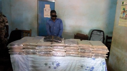 Trafic de stupéfiants : 100 Kg de chanvre indien saisis à Bobo-Dioulasso