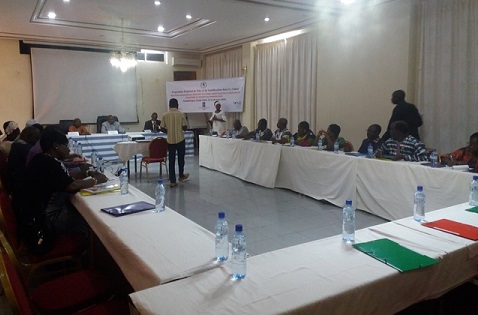 Législation sur la sécurité au Burkina : La CODES et le NDI valident les résultats de l’étude analytique