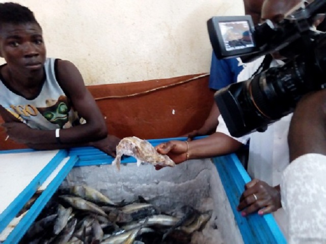 Gaoua : 800 kg de poisson avarié saisis par les services vétérinaires