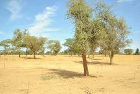 Politique nationale sur les zones humides : Le Burkina en course vers de nouveaux sites RAMSAR