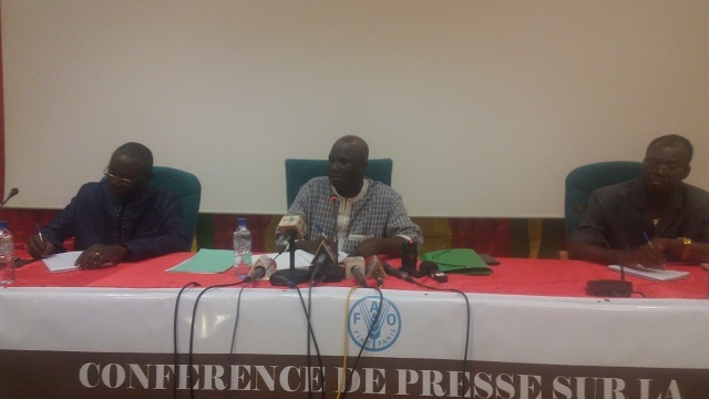 Journée mondiale des légumineuses : Le Burkina Faso organise la première édition