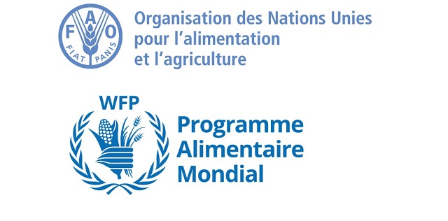 Assistance aux populations victimes des conflits intercommunautaires dans la région du Centre-Nord : La FAO et le PAM mettent en œuvre un projet conjoint