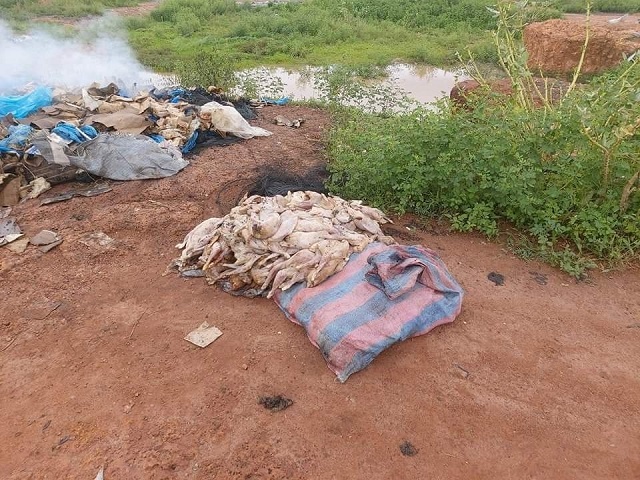 Arrondissement 6 de Ouagadougou :  Des poulets impropres à la consommation déversés au secteur 9