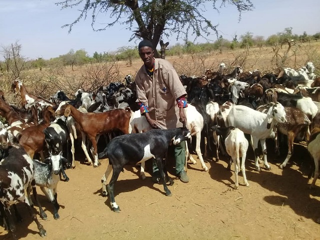 Burkina Faso : 400 000 animaux vaccinés dans la région du Sahel